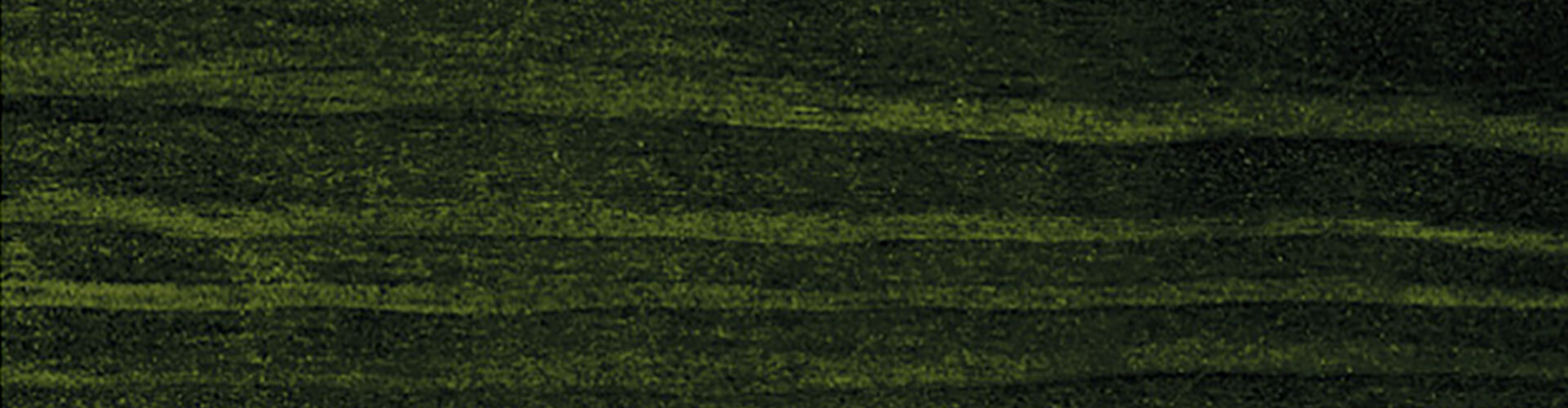 pino-verde-bosco