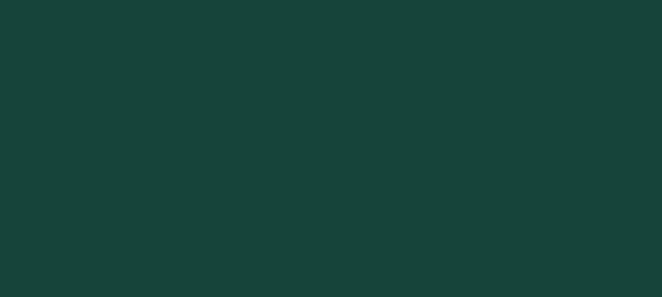 Colore RAL 6005